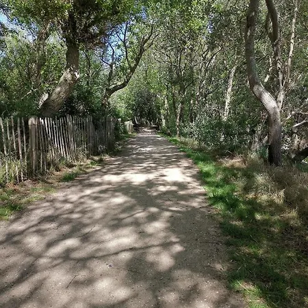 Vakantiehuis Griad In De Duinen